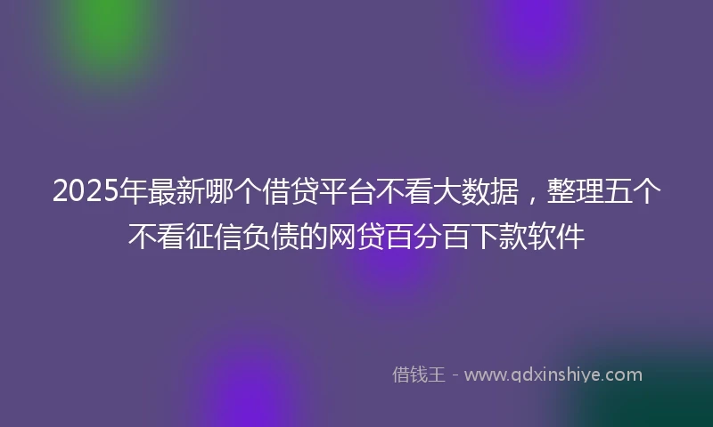 2025年最新哪个借贷平台不看大数据，整理五个不看征信负债的网贷百分百下款软件