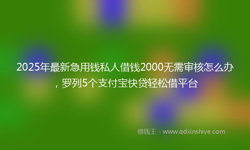 2025年最新急用钱私人借钱2000无需审核怎么办，罗列5个支付宝快贷轻松借平台
