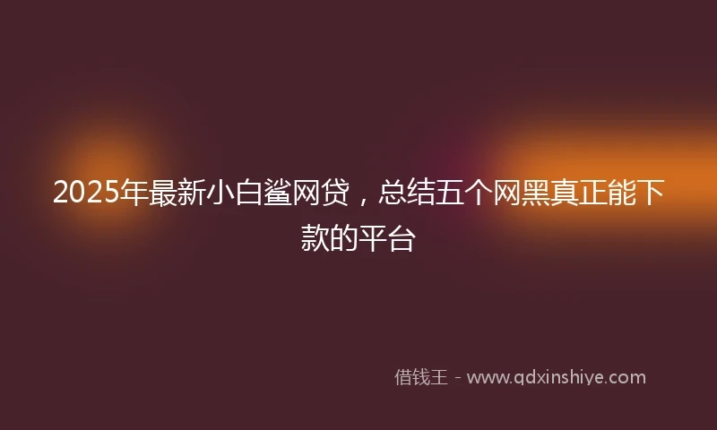 2025年最新小白鲨网贷，总结五个网黑真正能下款的平台