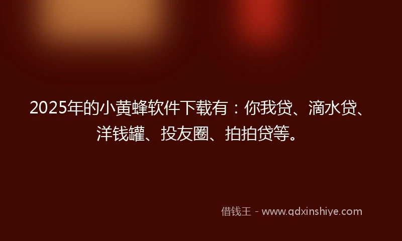 2025年的小黄蜂软件下载有：你我贷、滴水贷、洋钱罐、投友圈、拍拍贷等。