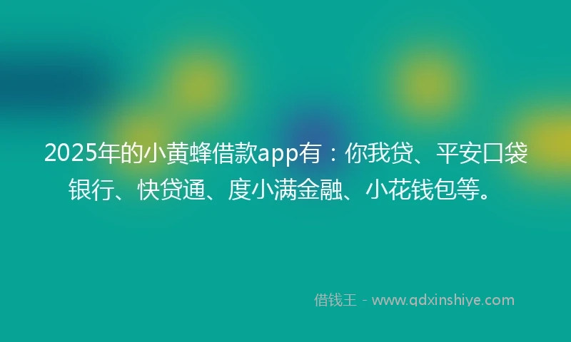 2025年的小黄蜂借款app有：你我贷、平安口袋银行、快贷通、度小满金融、小花钱包等。