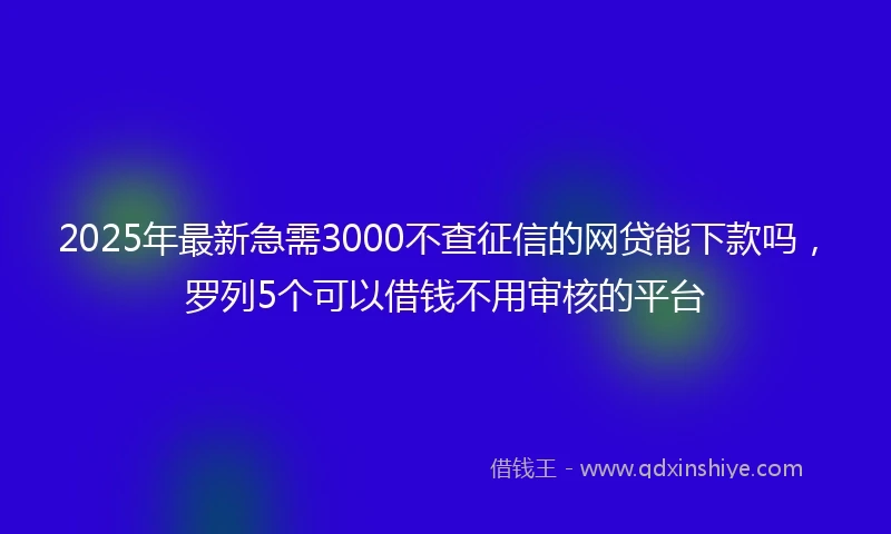 2025年最新急需3000不查征信的网贷能下款吗，罗列5个可以借钱不用审核的平台