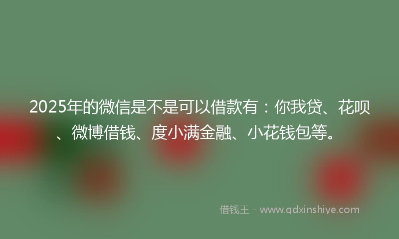 2025年的微信是不是可以借款有：你我贷、花呗、微博借钱、度小满金融、小花钱包等。