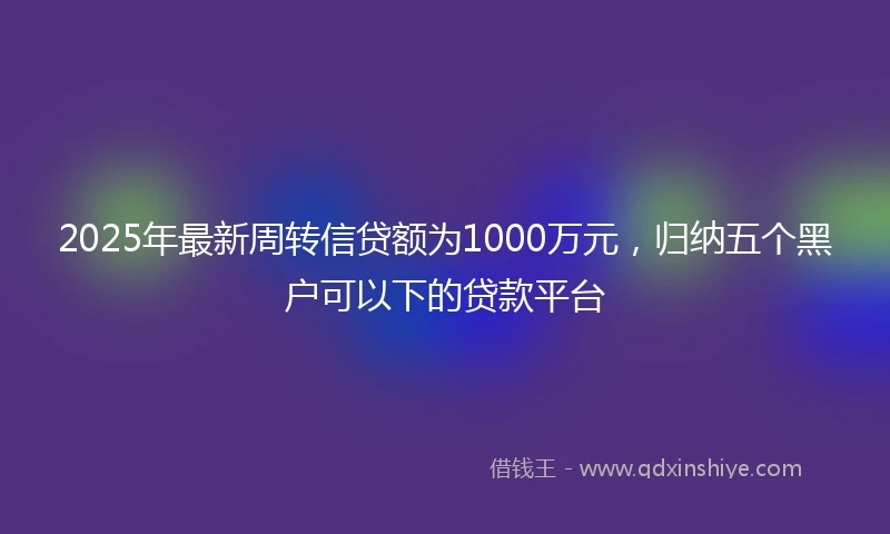 2025年最新周转信贷额为1000万元，归纳五个黑户可以下的贷款平台