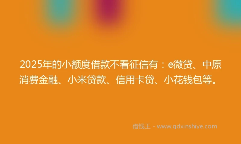 2025年的小额度借款不看征信有：e微贷、中原消费金融、小米贷款、信用卡贷、小花钱包等。