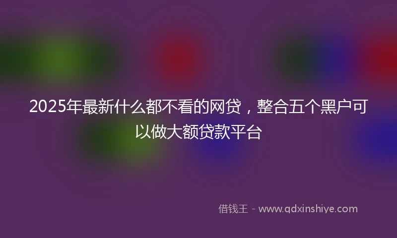 2025年最新什么都不看的网贷，整合五个黑户可以做大额贷款平台