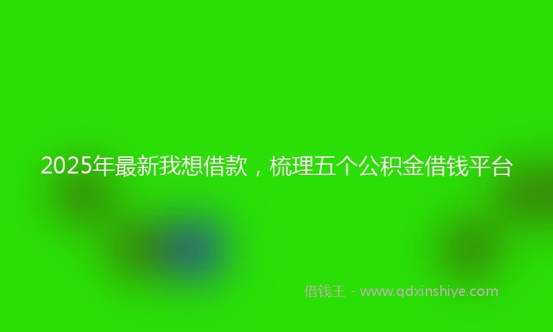 2025年最新我想借款，梳理五个公积金借钱平台