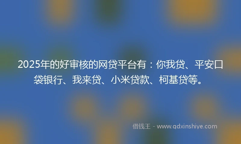 2025年的好审核的网贷平台有：你我贷、平安口袋银行、我来贷、小米贷款、柯基贷等。