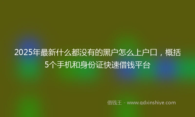2025年最新什么都没有的黑户怎么上户口，概括5个手机和身份证快速借钱平台