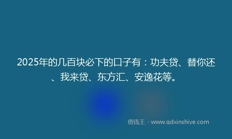 2025年的几百块必下的口子有：功夫贷、替你还、我来贷、东方汇、安逸花等。