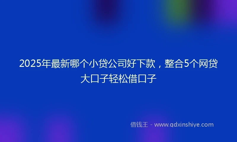 2025年最新哪个小贷公司好下款，整合5个网贷大口子轻松借口子