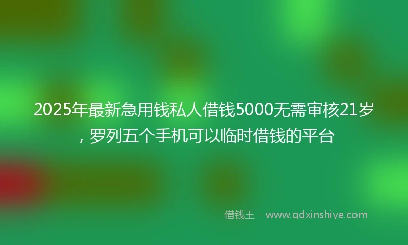 2025年最新急用钱私人借钱5000无需审核21岁，罗列五个手机可以临时借钱的平台