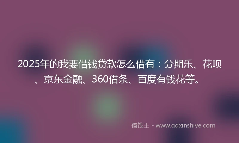 2025年的我要借钱贷款怎么借有：分期乐、花呗、京东金融、360借条、百度有钱花等。