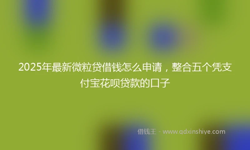 2025年最新微粒贷借钱怎么申请，整合五个凭支付宝花呗贷款的口子