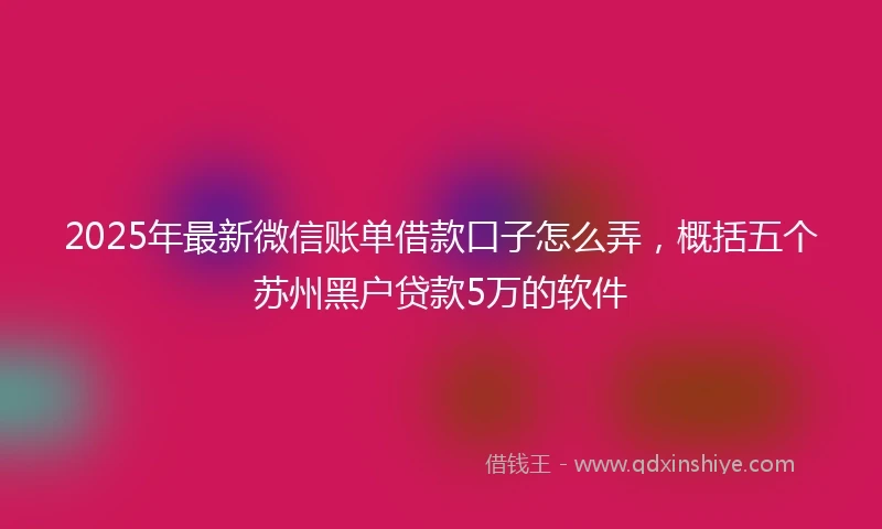 2025年最新微信账单借款口子怎么弄，概括五个苏州黑户贷款5万的软件