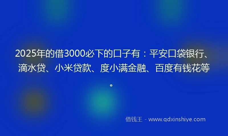 2025年的借3000必下的口子有：平安口袋银行、滴水贷、小米贷款、度小满金融、百度有钱花等。