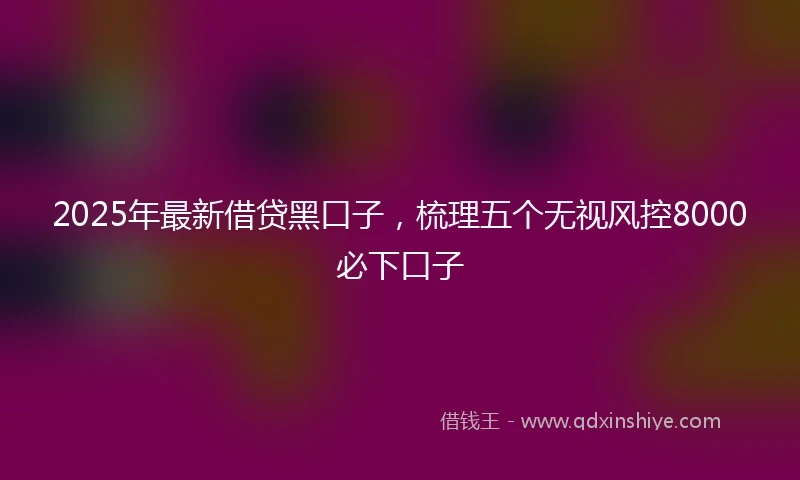 2025年最新借贷黑口子，梳理五个无视风控8000必下口子