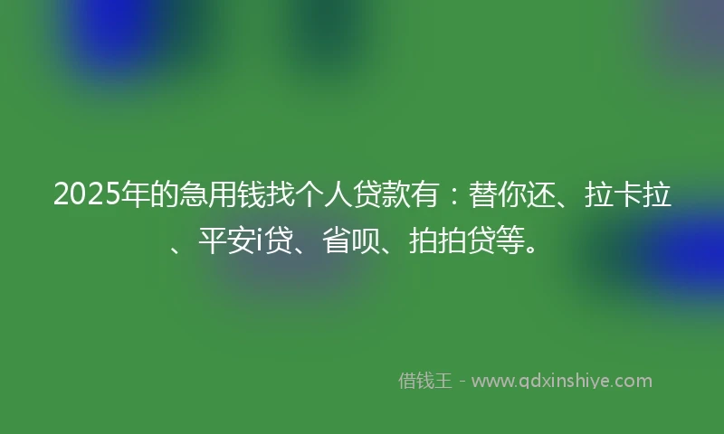 2025年的急用钱找个人贷款有：替你还、拉卡拉、平安i贷、省呗、拍拍贷等。