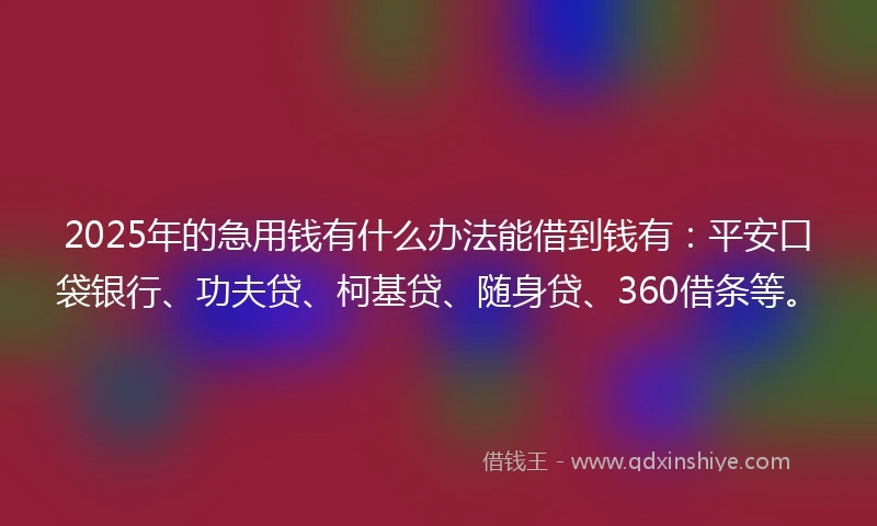 2025年的急用钱有什么办法能借到钱有：平安口袋银行、功夫贷、柯基贷、随身贷、360借条等。