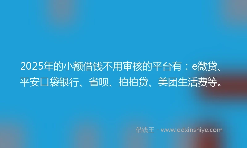 2025年的小额借钱不用审核的平台有：e微贷、平安口袋银行、省呗、拍拍贷、美团生活费等。