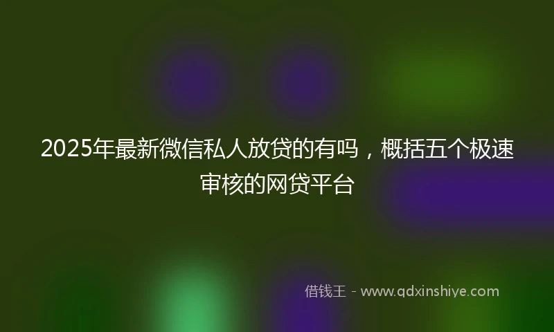 2025年最新微信私人放贷的有吗，概括五个极速审核的网贷平台