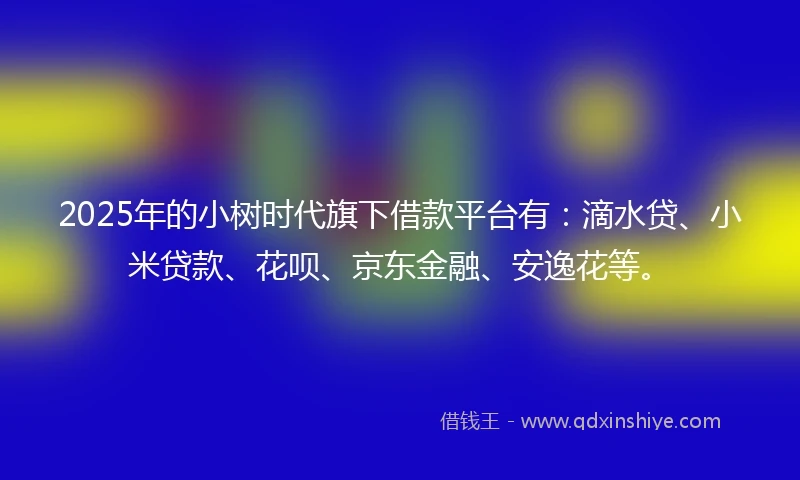 2025年的小树时代旗下借款平台有：滴水贷、小米贷款、花呗、京东金融、安逸花等。