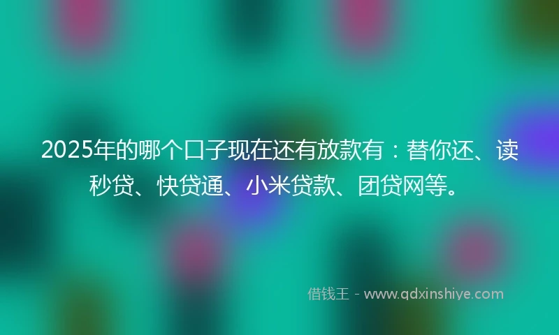 2025年的哪个口子现在还有放款有：替你还、读秒贷、快贷通、小米贷款、团贷网等。