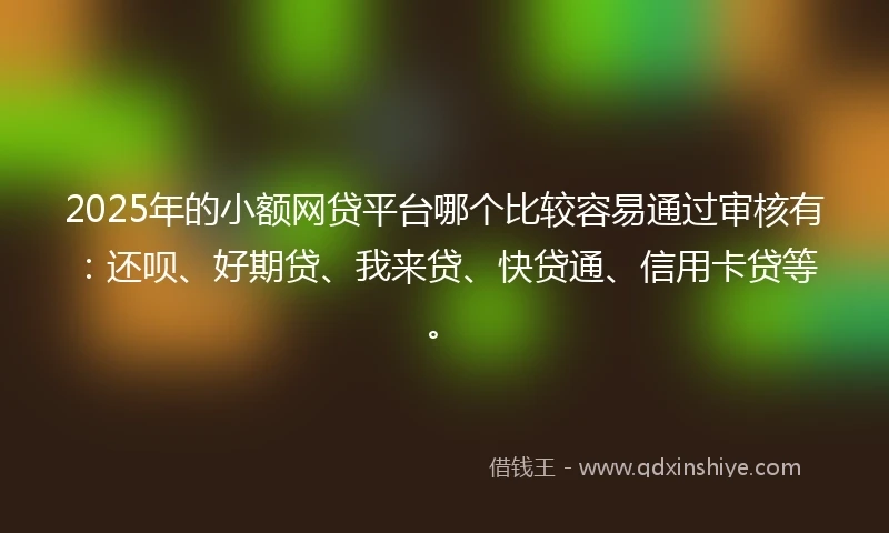 2025年的小额网贷平台哪个比较容易通过审核有：还呗、好期贷、我来贷、快贷通、信用卡贷等。