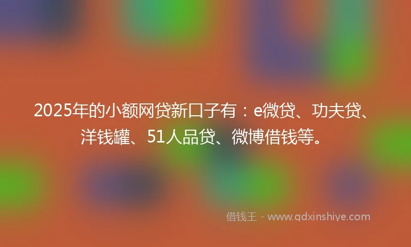 2025年的小额网贷新口子有：e微贷、功夫贷、洋钱罐、51人品贷、微博借钱等。