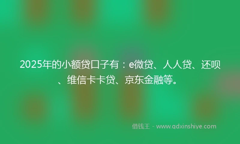 2025年的小额贷口子有：e微贷、人人贷、还呗、维信卡卡贷、京东金融等。
