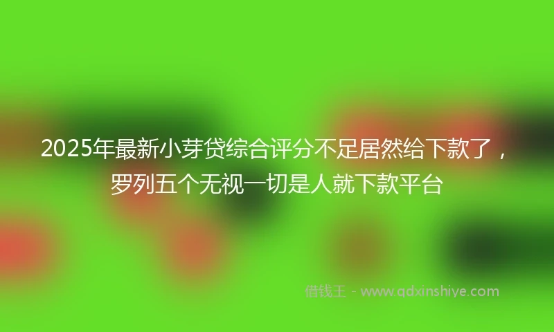 2025年最新小芽贷综合评分不足居然给下款了，罗列五个无视一切是人就下款平台