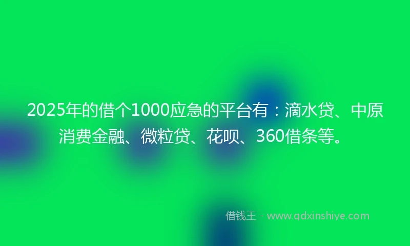 2025年的借个1000应急的平台有：滴水贷、中原消费金融、微粒贷、花呗、360借条等。