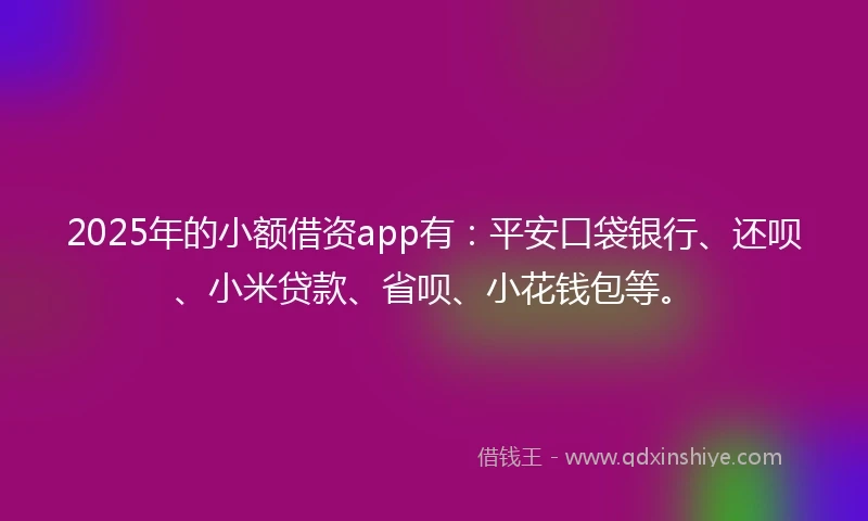 2025年的小额借资app有：平安口袋银行、还呗、小米贷款、省呗、小花钱包等。