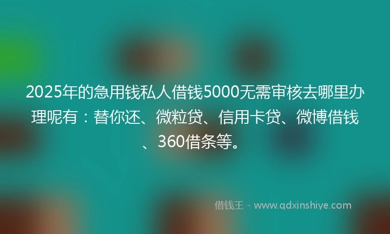 2025年的急用钱私人借钱5000无需审核去哪里办理呢有：替你还、微粒贷、信用卡贷、微博借钱、360借条等。