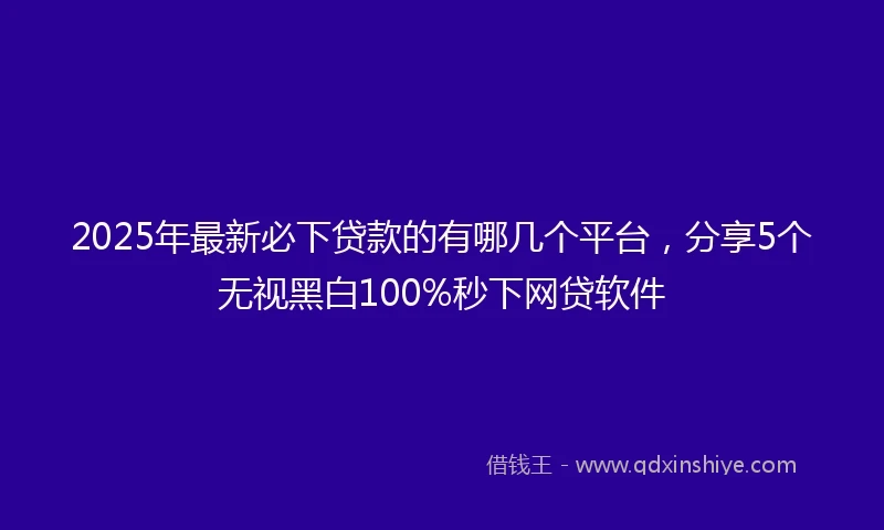 2025年最新必下贷款的有哪几个平台，分享5个无视黑白100%秒下网贷软件