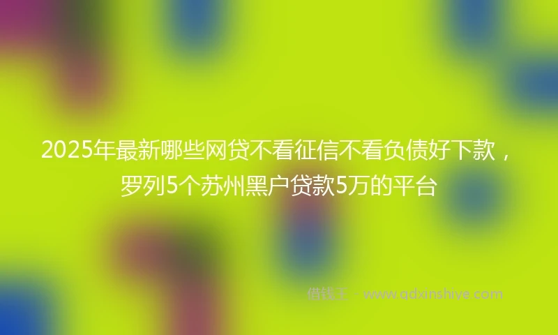 2025年最新哪些网贷不看征信不看负债好下款，罗列5个苏州黑户贷款5万的平台
