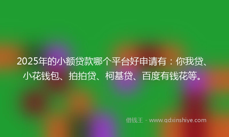 2025年的小额贷款哪个平台好申请有：你我贷、小花钱包、拍拍贷、柯基贷、百度有钱花等。
