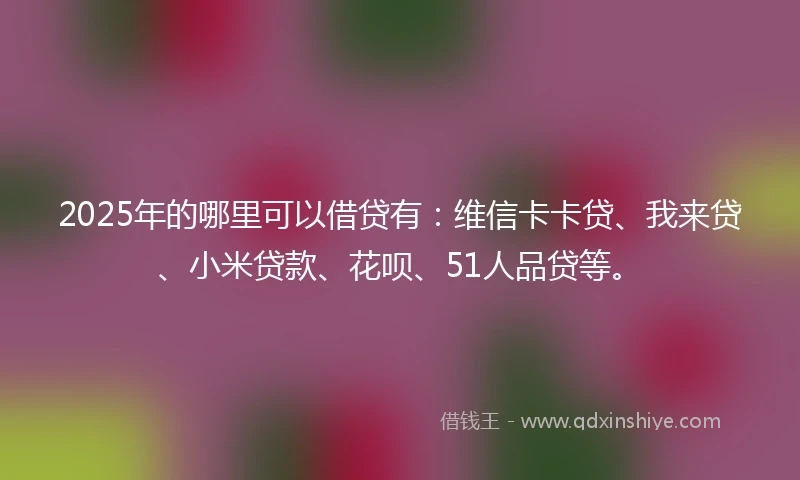 2025年的哪里可以借贷有：维信卡卡贷、我来贷、小米贷款、花呗、51人品贷等。
