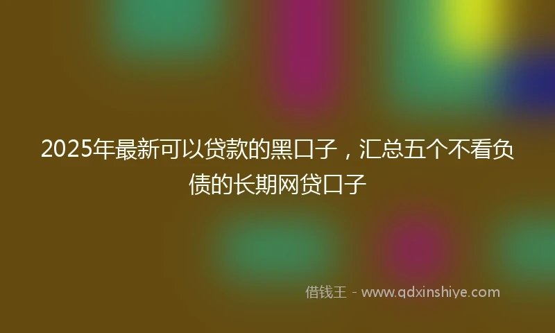 2025年最新可以贷款的黑口子，汇总五个不看负债的长期网贷口子