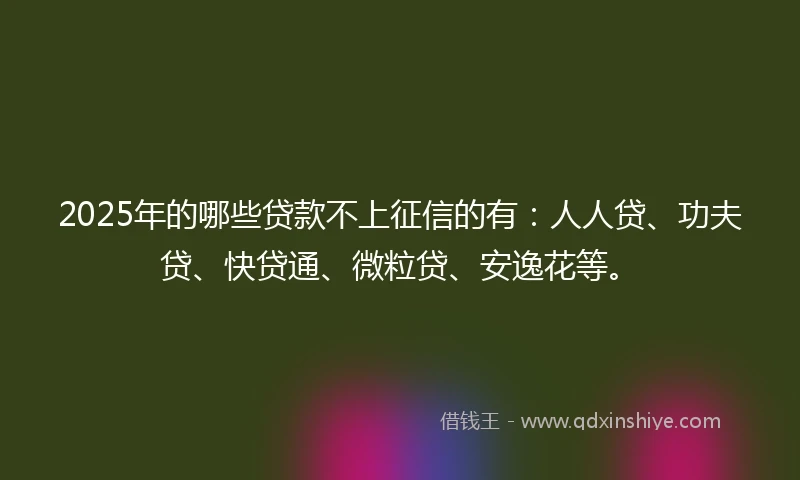2025年的哪些贷款不上征信的有：人人贷、功夫贷、快贷通、微粒贷、安逸花等。