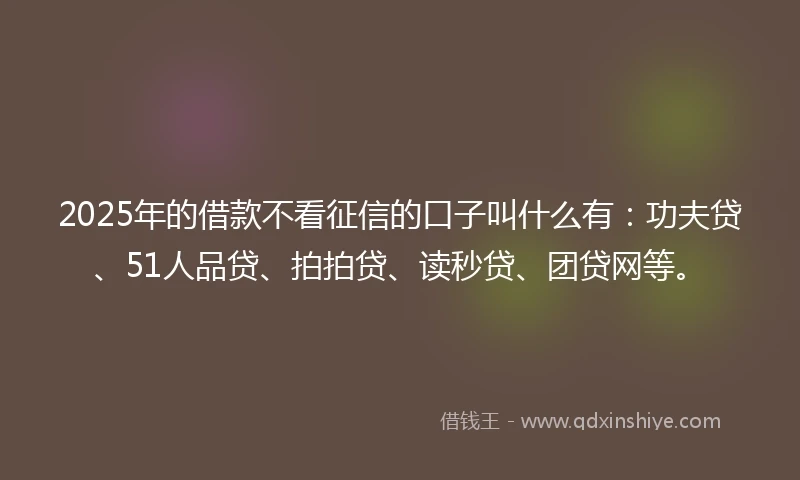 2025年的借款不看征信的口子叫什么有：功夫贷、51人品贷、拍拍贷、读秒贷、团贷网等。