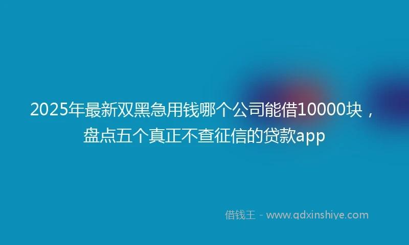 2025年最新双黑急用钱哪个公司能借10000块，盘点五个真正不查征信的贷款app
