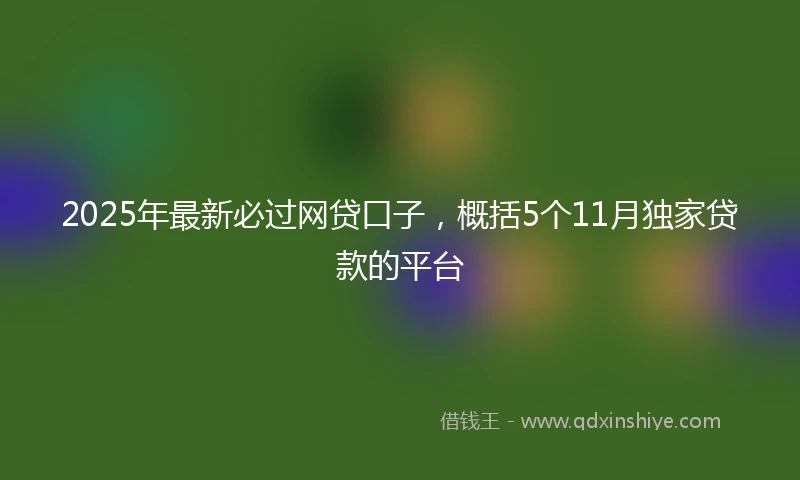 2025年最新必过网贷口子，概括5个11月独家贷款的平台