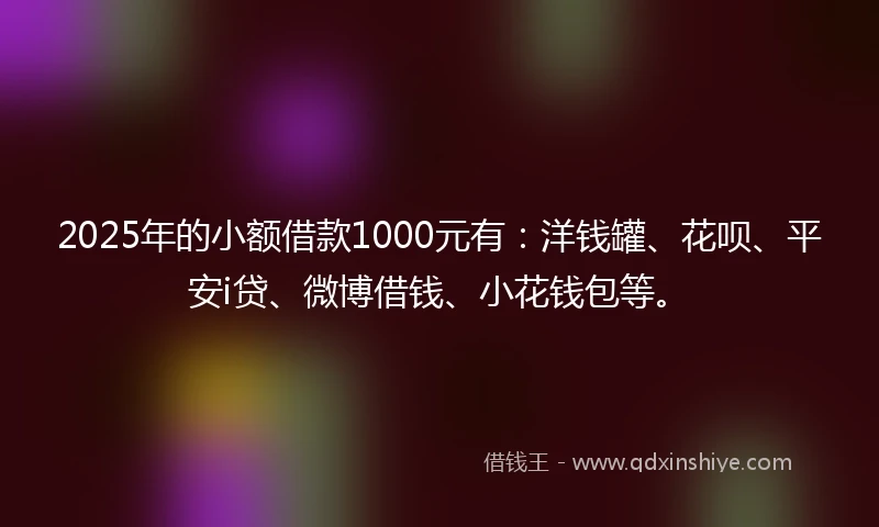 2025年的小额借款1000元有：洋钱罐、花呗、平安i贷、微博借钱、小花钱包等。