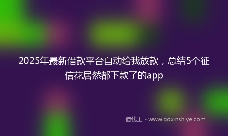 2025年最新借款平台自动给我放款，总结5个征信花居然都下款了的app