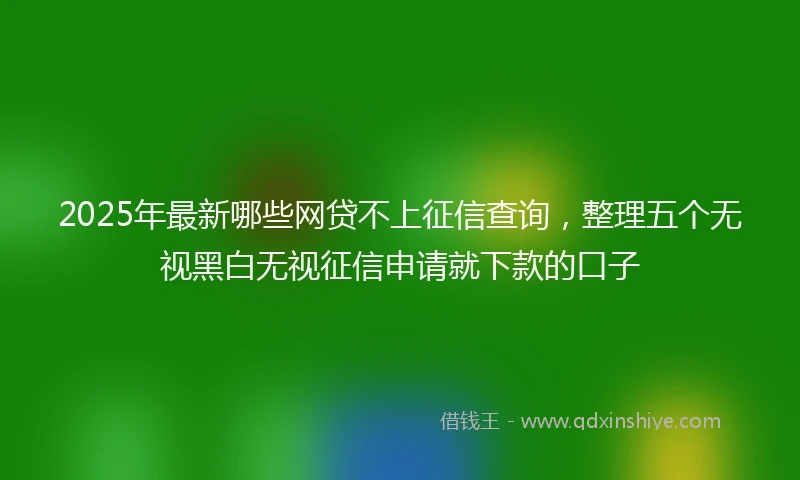 2025年最新哪些网贷不上征信查询，整理五个无视黑白无视征信申请就下款的口子
