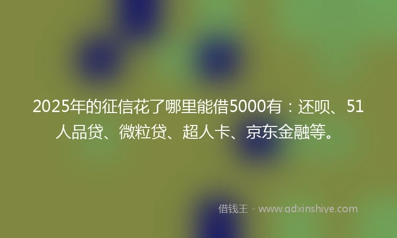 2025年的征信花了哪里能借5000有：还呗、51人品贷、微粒贷、超人卡、京东金融等。
