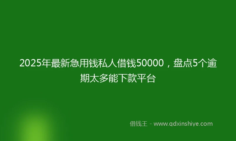 2025年最新急用钱私人借钱50000，盘点5个逾期太多能下款平台