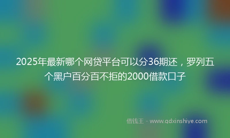 2025年最新哪个网贷平台可以分36期还，罗列五个黑户百分百不拒的2000借款口子