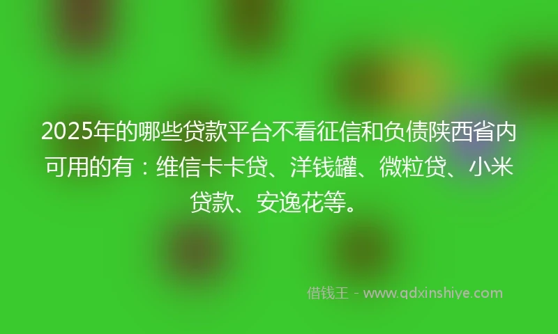 2025年的哪些贷款平台不看征信和负债陕西省内可用的有：维信卡卡贷、洋钱罐、微粒贷、小米贷款、安逸花等。